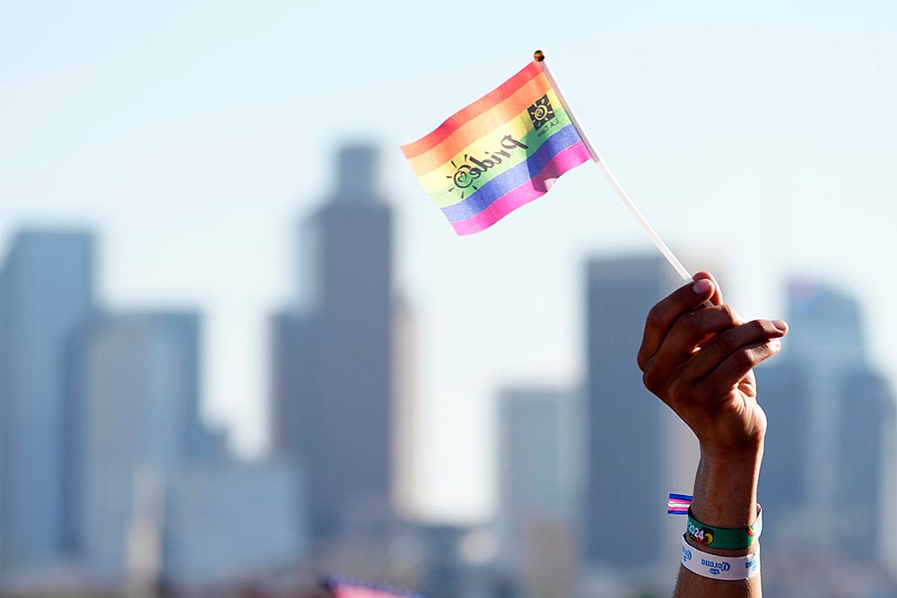 Chris Pizzello : A Pride Flag